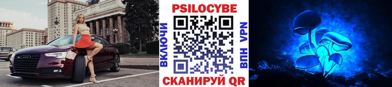 Псилоцибиновые грибы прущие грибы  Купить где  Людиново 